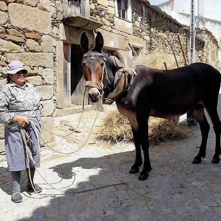 بيت ضيافة Casa Dos Pocos Vilar Torpim