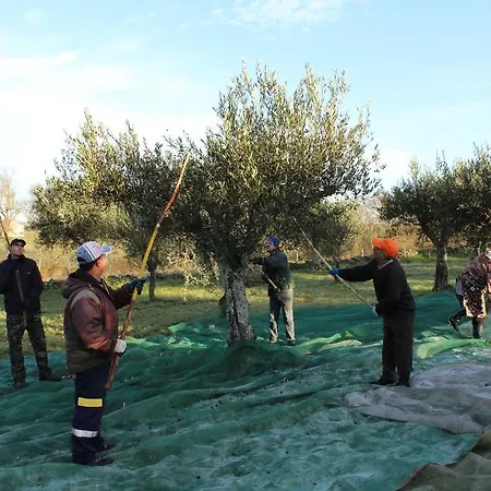 Casa Dos Pocos بيت ضيافة 4*