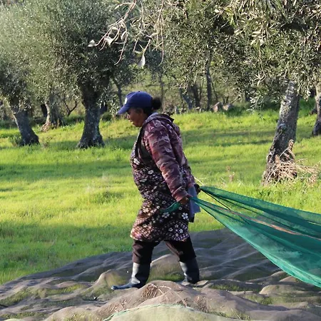 Casa Dos Pocos بيت ضيافة Vilar Torpim