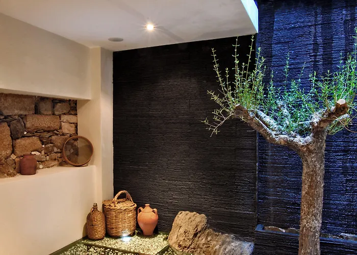 Pensionat Casa Dos Pocos