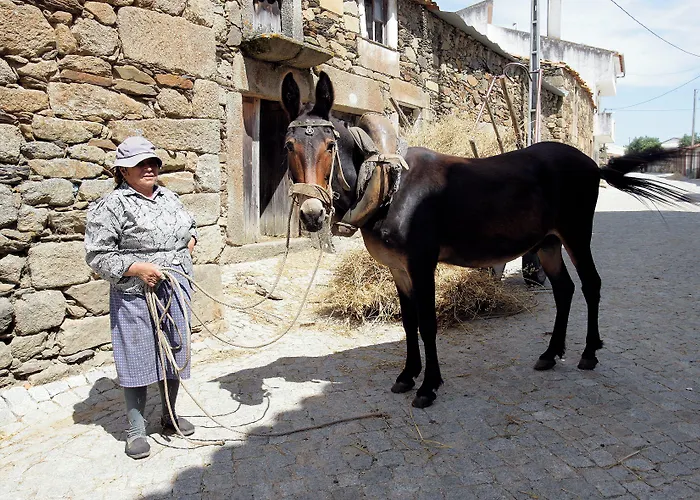 Pensionat Casa Dos Pocos Vilar Torpim