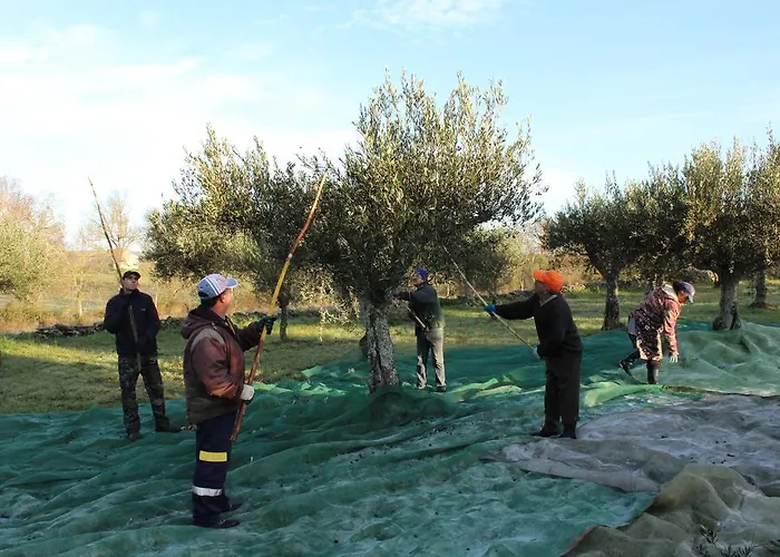 Casa Dos Pocos ゲストハウス 4*