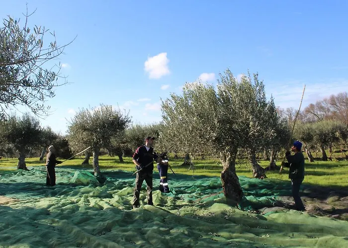 Casa Dos Pocos ゲストハウス Vilar Torpim