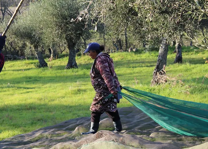 Casa Dos Pocos ゲストハウス Vilar Torpim